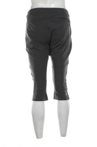 Herrenhose Alpine Pro, Größe S, Farbe Grau, Preis 24,57 €