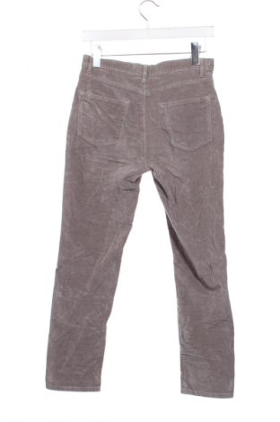 Herrenhose Brax, Größe S, Farbe Grau, Preis € 15,99