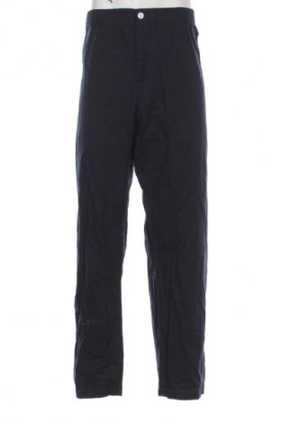 Herrenhose Unbranded, Größe L, Farbe Blau, Preis 12,99 €