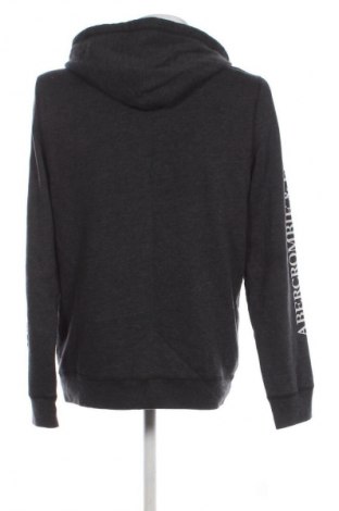 Herren Sweatshirt Abercrombie & Fitch, Größe M, Farbe Grau, Preis 29,67 €
