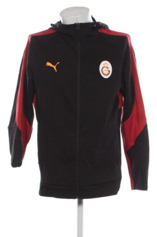 Herren Sweatshirt PUMA, Größe L, Farbe Mehrfarbig, Preis 60,99 €