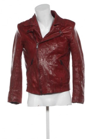 Herren Lederjacke Salsa, Größe S, Farbe Rot, Preis € 97,99