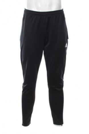 Herren Sporthose Adidas, Größe L, Farbe Schwarz, Preis 31,99 €