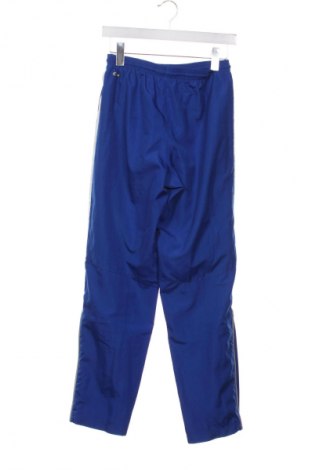 Herren Sporthose Adidas, Größe XS, Farbe Blau, Preis 25,99 €