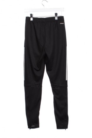 Herren Sporthose Adidas, Größe XS, Farbe Mehrfarbig, Preis € 20,99