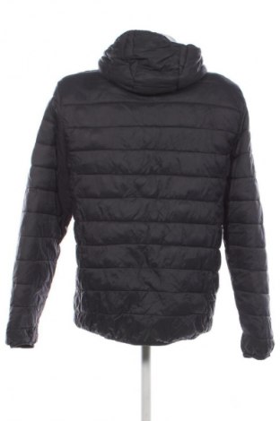 Herrenjacke CMP, Größe L, Farbe Mehrfarbig, Preis 36,99 €