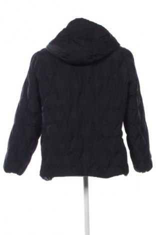 Herrenjacke Cecil, Größe XXL, Farbe Schwarz, Preis 51,99 €