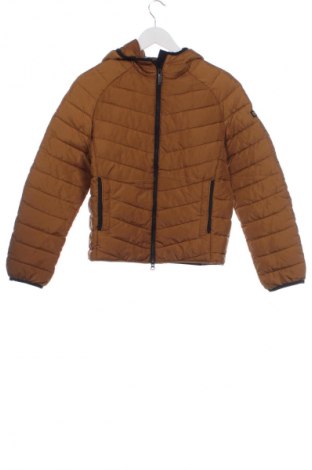 Herrenjacke National Geographic, Größe XS, Farbe Braun, Preis 80,99 €