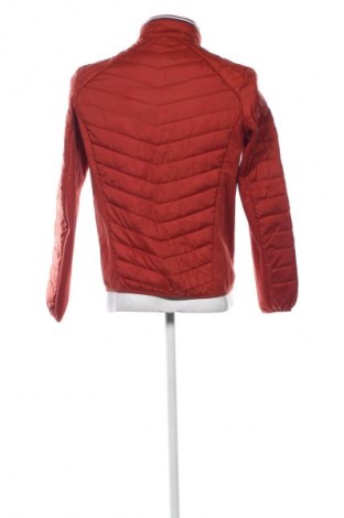 Herrenjacke Tom Tailor, Größe M, Farbe Orange, Preis 41,98 €