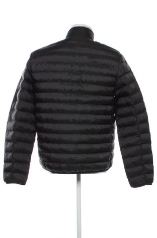 Ανδρικό μπουφάν Tommy Hilfiger, Μέγεθος M, Χρώμα Μαύρο, Τιμή 154,99 €