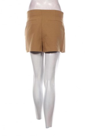 Sukně- kalhoty  Zara, Velikost S, Barva Hnědá, Cena  239,00 Kč
