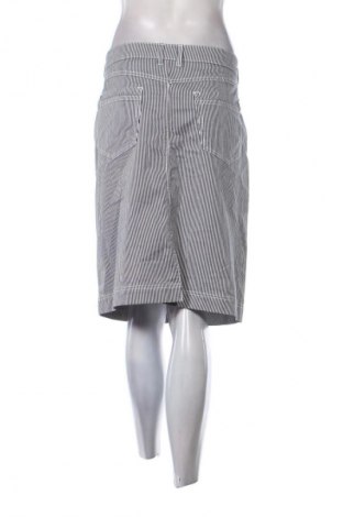 Fustă Adagio, Mărime XL, Culoare Multicolor, Preț 45,99 Lei