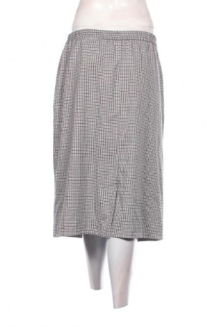 Fustă Canda, Mărime XXL, Culoare Multicolor, Preț 72,99 Lei