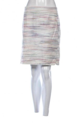 Sukňa Caroll, Veľkosť XL, Farba Viacfarebná, Cena  15,95 €