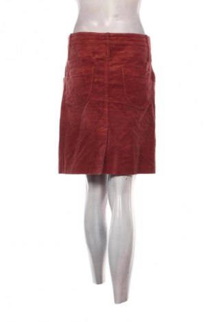 Φούστα Cheer, Μέγεθος M, Χρώμα Καφέ, Τιμή 6,99 €