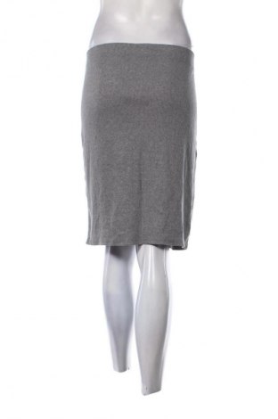 Fustă Janina, Mărime XXL, Culoare Gri, Preț 50,00 Lei