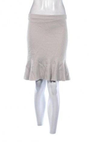 Fustă Marc Cain, Mărime M, Culoare Gri, Preț 239,99 Lei