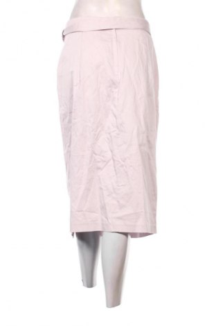 Sukně Orsay, Velikost XL, Barva Popelavě růžová, Cena  269,00 Kč