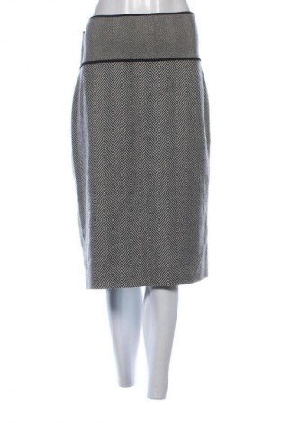 Пола Rena Lange, Размер XL, Цвят Многоцветен, Цена 61,43 лв.