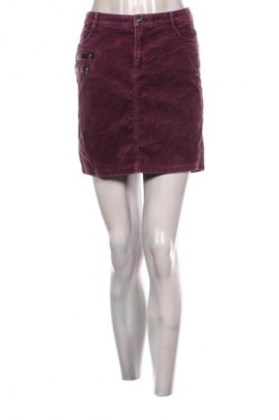 Sukňa Spring, Veľkosť L, Farba Fialová, Cena  6,95 €