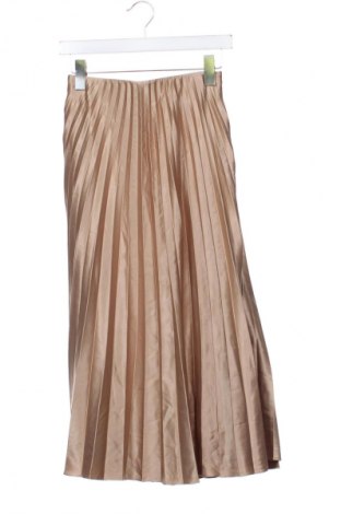 Fustă Zara, Mărime XS, Culoare Maro, Preț 71,00 Lei