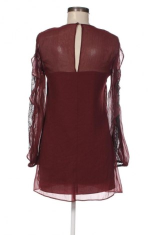 Sukienka BCBGeneration, Rozmiar XXS, Kolor Brązowy, Cena 430,00 zł