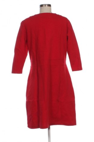 Kleid Betty Barclay, Größe XL, Farbe Rot, Preis 41,94 €