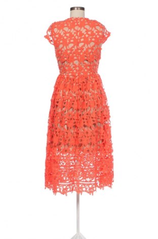 Kleid Boohoo, Größe M, Farbe Orange, Preis 20,77 €