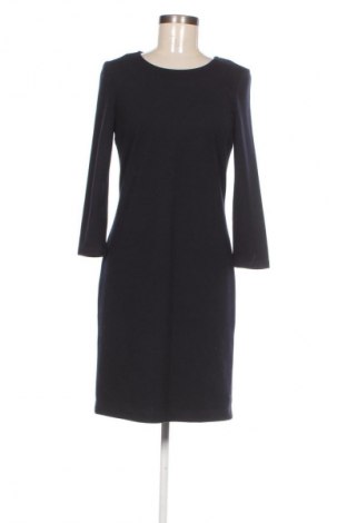 Sukienka Brax, Rozmiar XS, Kolor Niebieski, Cena 188,76 zł