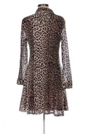 Sukienka C&S, Rozmiar XL, Kolor Kolorowy, Cena 64,99 zł