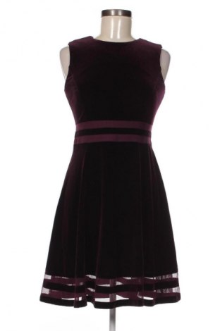 Kleid Calvin Klein, Größe S, Farbe Lila, Preis 53,99 €