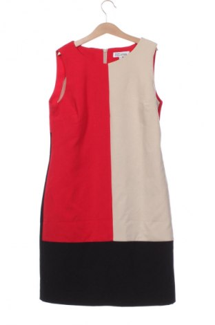 Rochie Debenhams, Mărime S, Culoare Multicolor, Preț 63,99 Lei