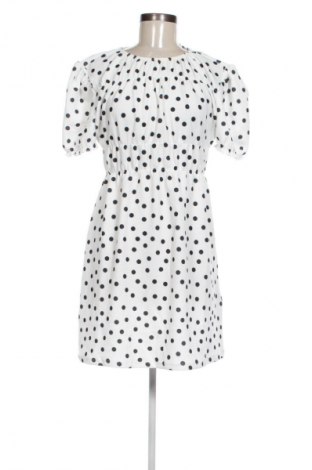 Šaty  Even&Odd, Veľkosť L, Farba Viacfarebná, Cena  30,95 €