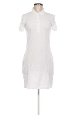 Sukienka Lacoste, Rozmiar S, Kolor Biały, Cena 549,99 zł