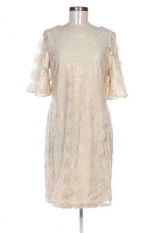 Kleid M&Co., Größe L, Farbe Beige, Preis € 26,99