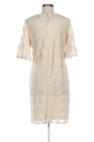 Kleid M&Co., Größe L, Farbe Beige, Preis € 26,99