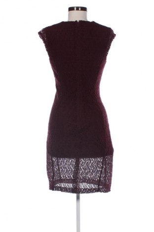 Kleid Mango, Größe S, Farbe Rot, Preis 17,36 €