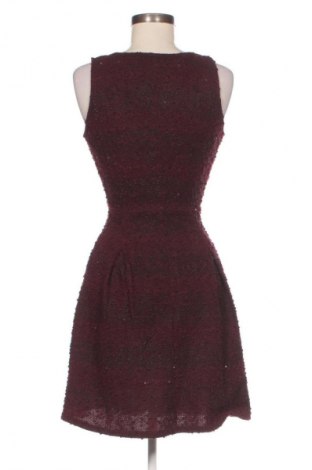 Φόρεμα Morgan, Μέγεθος XS, Χρώμα Πολύχρωμο, Τιμή 24,55 €