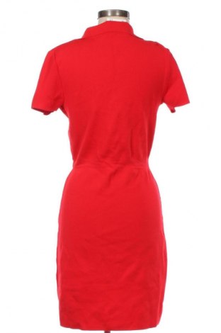 Φόρεμα Morgan, Μέγεθος M, Χρώμα Κόκκινο, Τιμή 20,99 €