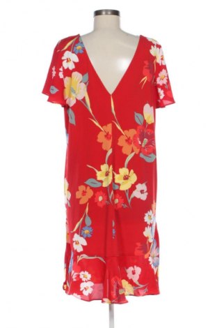 Šaty  Next, Velikost XL, Barva Vícebarevné, Cena  608,00 Kč