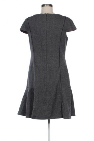 Kleid Next, Größe L, Farbe Mehrfarbig, Preis 24,55 €