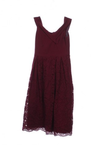 Kleid Oasis, Größe M, Farbe Rot, Preis 24,49 €