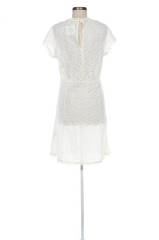 Kleid Rosemunde, Größe XL, Farbe Ecru, Preis € 37,99