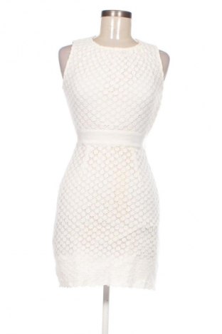 Kleid Tara Jarmon, Größe S, Farbe Mehrfarbig, Preis € 66,50