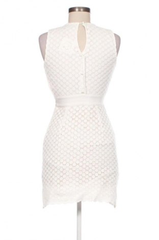 Kleid Tara Jarmon, Größe S, Farbe Mehrfarbig, Preis € 66,50