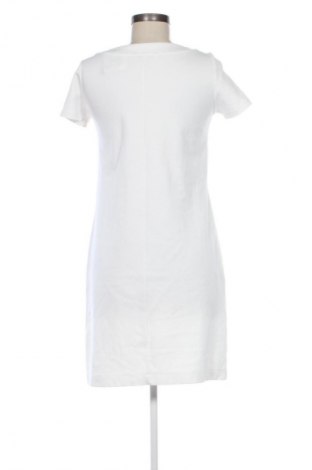 Kleid Tatuum, Größe S, Farbe Mehrfarbig, Preis 41,94 €