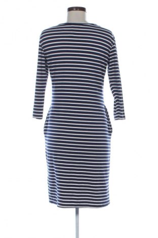 Kleid Zoot, Größe XL, Farbe Mehrfarbig, Preis € 20,99