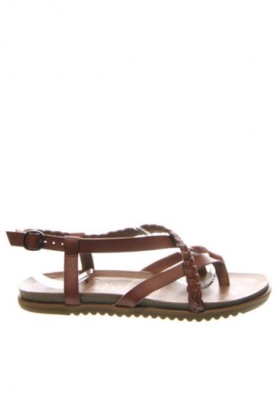 Sandále Blowfish, Veľkosť 37, Farba Hnedá, Cena  32,95 €