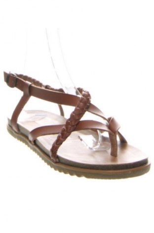 Sandále Blowfish, Veľkosť 37, Farba Hnedá, Cena  32,95 €