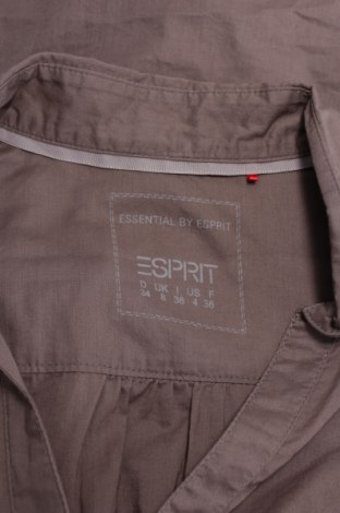 Γυναικείο πουκάμισο Esprit, Μέγεθος XS, Χρώμα Καφέ, Τιμή 9,28 €
